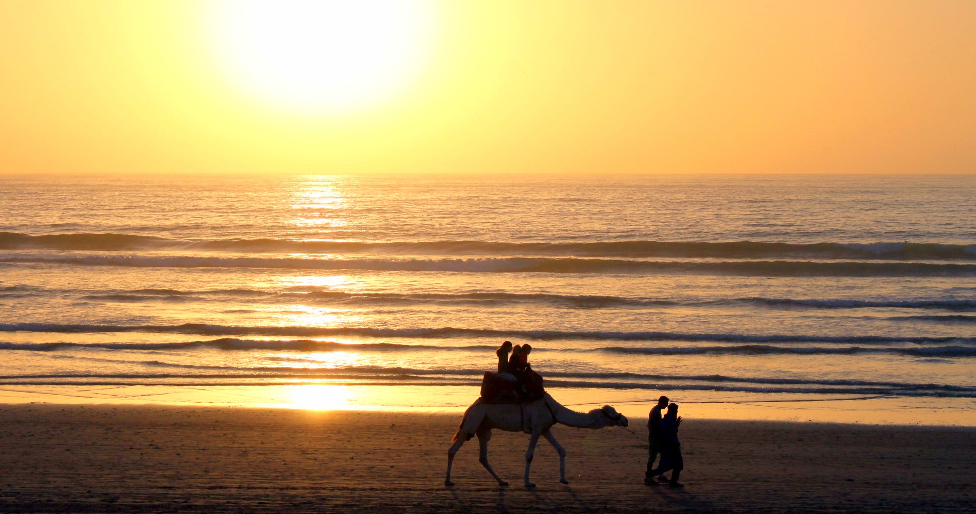 travel agency in Morocco: camel tour in beach